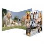 Preview: 2x Herma Motivordner / DIN A4 / 70mm breit / je 1x mit Hunde + Katzen