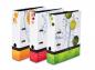 Preview: 3 verschiedene Motivordner "Livepac Fruits"  / DIN A4 / 75mm breit