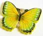 Preview: 4 verschiedene Deko Schmetterlinge / Größe: ca. 22cm
