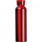 Preview: Aluminium Trinkflasche mit Gravur / mit Trageschlaufe / 600ml / Farbe: rot