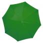 Preview: Automatik-Regenschirm mit Namensgravur - Farbe: grün