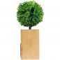 Preview: Bambus Tischuhr "Green Feeling" mit Namensgravur - mit Baum auf Kunstrasen