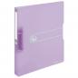 Preview: Herlitz Ringbuch / DIN A4 / 2-Ringmechanik / PP / 38mm / transparent flieder