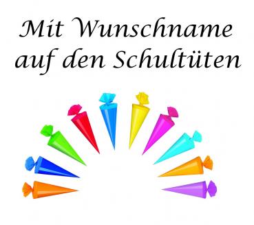 10 Deko Schultüten mit silber gefärbter Gravur / 15cm / 10 verschiedene Farben