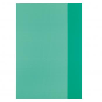 10 Herlitz Heftumschläge / Hefthüllen DIN A4 / Farbe: transparent grün