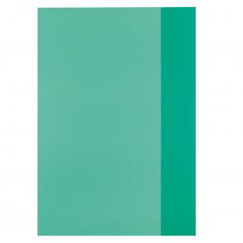 10 Herlitz Heftumschläge / Hefthüllen DIN A4 / Farbe: transparent grün