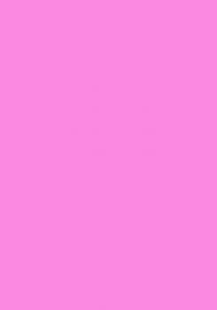 100 Blatt farbiges Druckerpapier / buntes Kopierpapier / Farbe: flamingo (rosa)