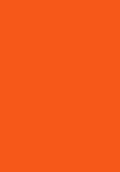 100 Blatt farbiges Druckerpapier / buntes Kopierpapier / Farbe: intensiv orange
