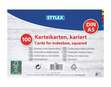 100 Karteikarten / DIN A5 / weiss / kariert