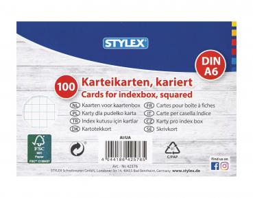 100 Karteikarten / DIN A6 / weiss / kariert