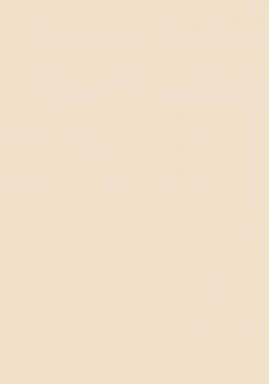 50 Blatt farbiges Druckerpapier 160g/m² / buntes Kopierpapier / Farbe: creme