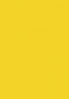 50 Blatt farbiges Druckerpapier 160g/m² / buntes Kopierpapier Farbe intensivgelb