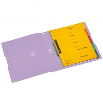 Herlitz Ringbuch / DIN A4 / 2-Ringmechanik / PP / 38mm / transparent flieder