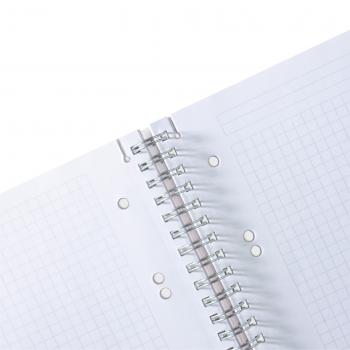 Herlitz Spiralblock / Collegeblock / DIN A5 / kariert / 80 Bl / transparent