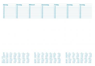 Papier Notiz-Schreibtischunterlage / Größe: 60x42cm / 30 Blatt