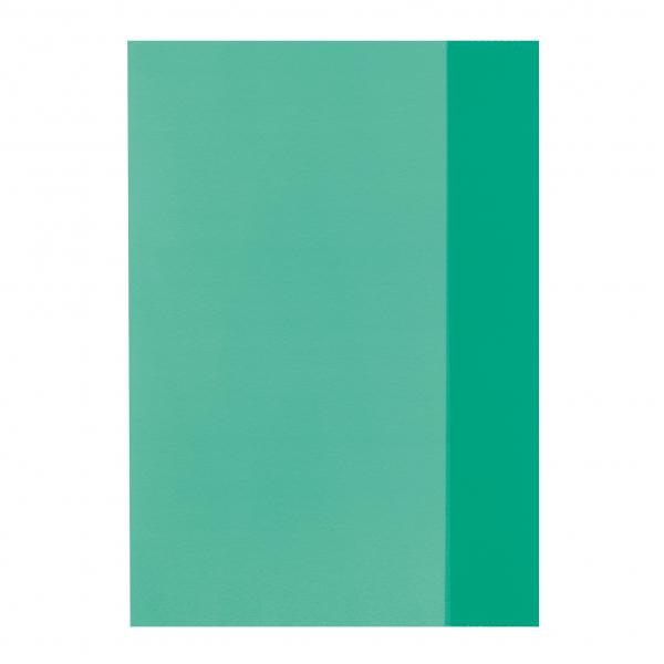 10 Herlitz Heftumschläge / Hefthüllen DIN A5 / Farbe: transparent grün