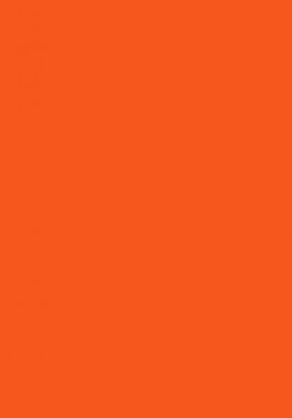 100 Blatt farbiges Druckerpapier / buntes Kopierpapier / Farbe: intensiv orange