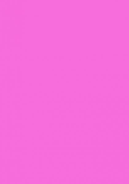 100 Blatt farbiges Druckerpapier / buntes Kopierpapier / Farbe: neonpink