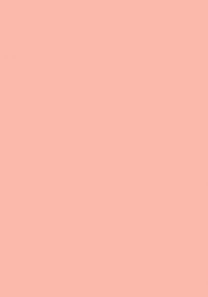 50 Blatt farbiges Druckerpapier 160g/m² / buntes Kopierpapier / Farbe: lachs