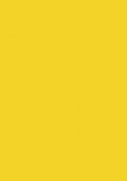 50 Blatt farbiges Druckerpapier 160g/m² / buntes Kopierpapier Farbe intensivgelb