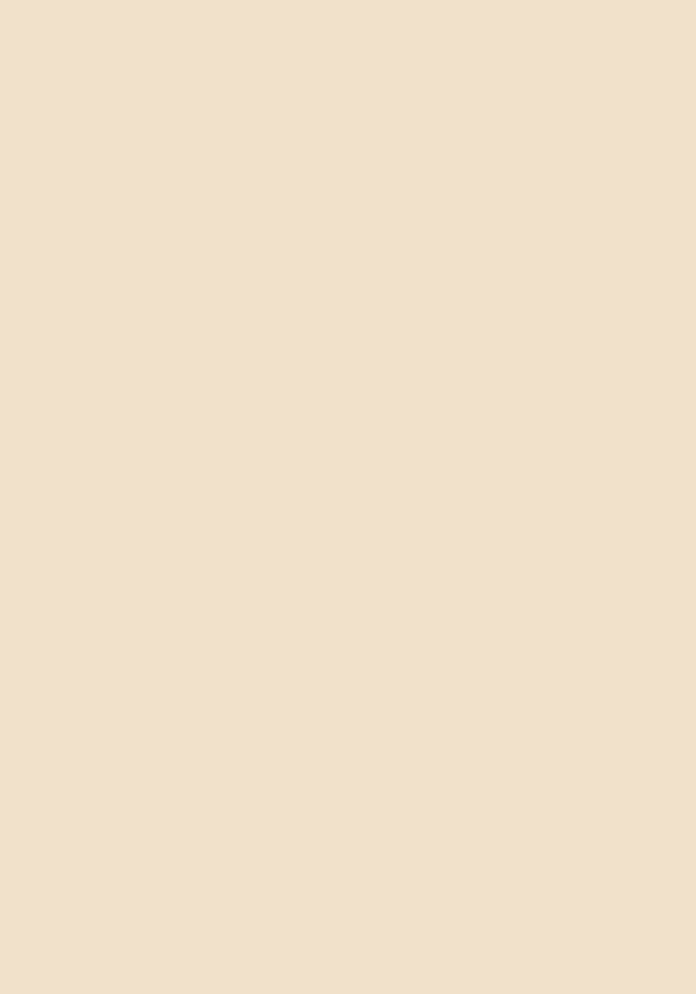 100 Blatt farbiges Druckerpapier / buntes Kopierpapier / Farbe: creme