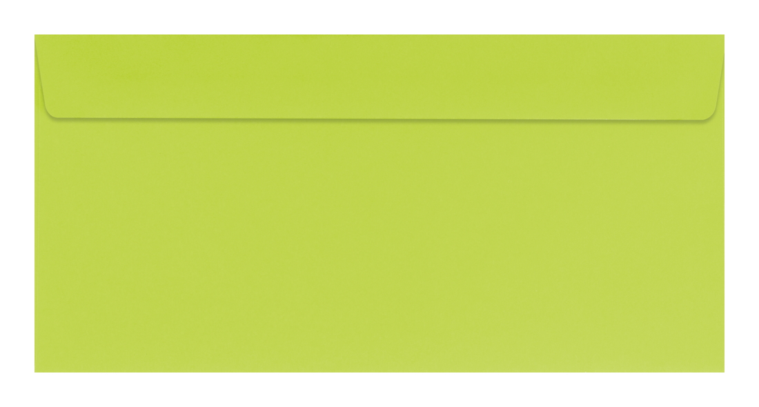 25 farbige Briefumschläge / Din lang / Farbe: hellgrün